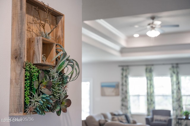 room details with a raised ceiling