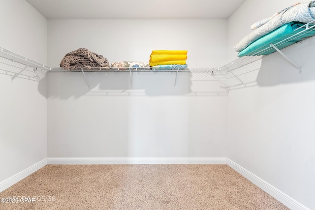 spacious closet with carpet floors