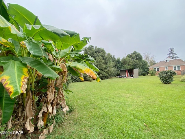 2936 Russ St, Marianna, FL 32446 - view of green lawn featuring a shed