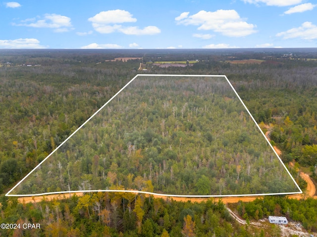 TBD Eagle Trail, Alford FL, 32420 land for sale