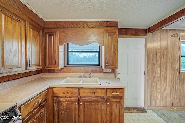 kitchen with wood walls, sink, range, and a textured ceiling