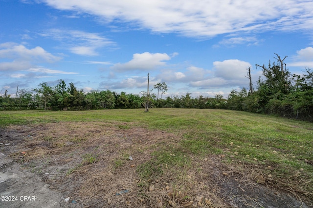 view of yard with a rural view