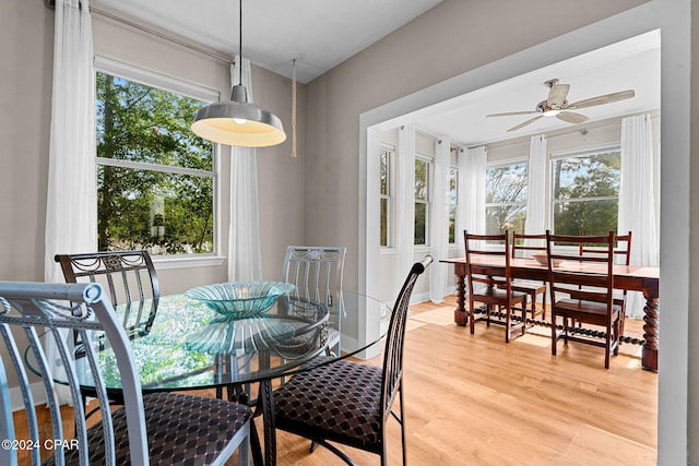 dining area featuring hardwood / wood-style floors, ceiling fan, and plenty of natural light