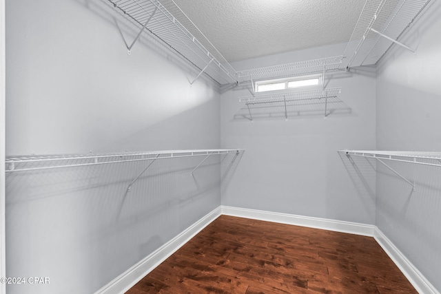 walk in closet with hardwood / wood-style flooring