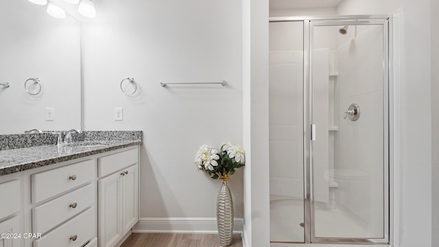 bathroom featuring wood-type flooring, vanity, and a shower with door