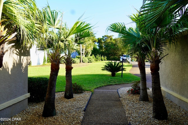 view of property's community featuring a yard