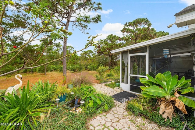 view of yard featuring a sunroom