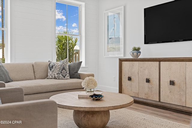 living room with light hardwood / wood-style flooring