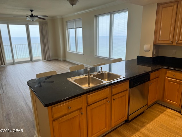 kitchen with dishwasher, light hardwood / wood-style floors, and plenty of natural light