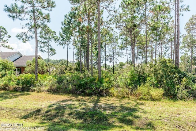 Listing photo 3 for LOT3 Sea Haven Dr, Port St Joe FL 32456