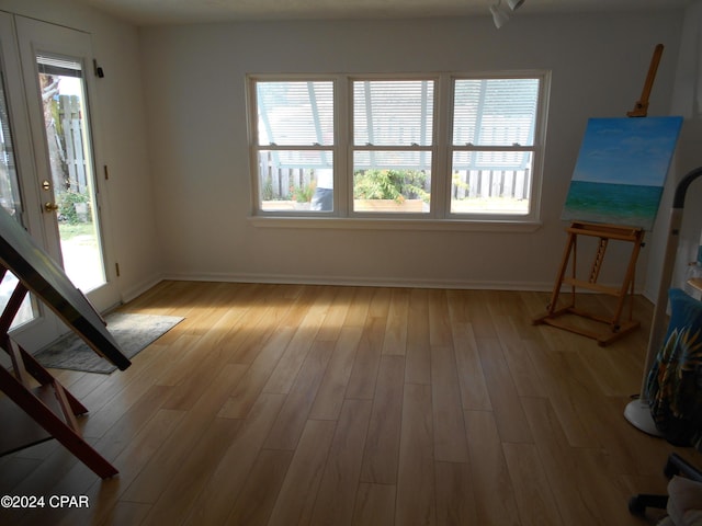 unfurnished living room with a healthy amount of sunlight and light wood-type flooring