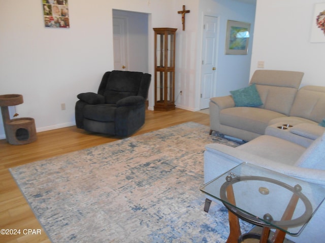 living room featuring wood-type flooring