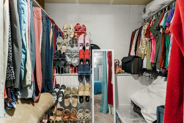 spacious closet featuring carpet flooring