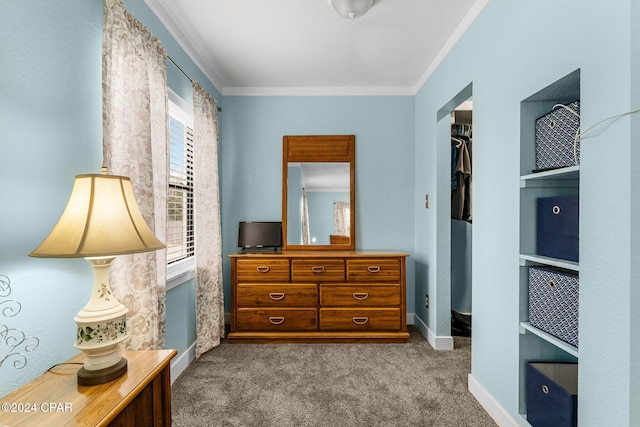 bedroom featuring a walk in closet, a closet, carpet floors, and ornamental molding