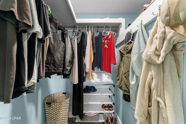 view of spacious closet