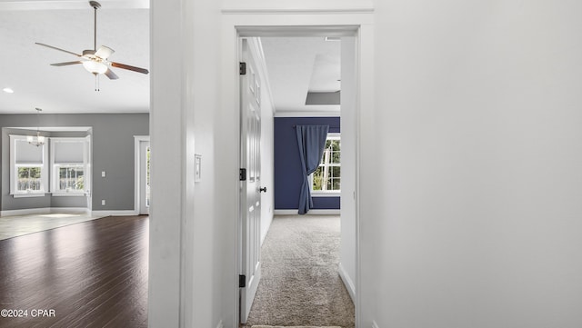 corridor with hardwood / wood-style flooring, plenty of natural light, a tray ceiling, and an inviting chandelier