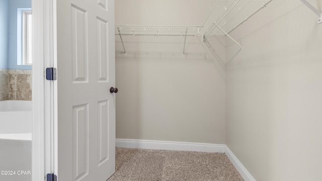 walk in closet with carpet flooring