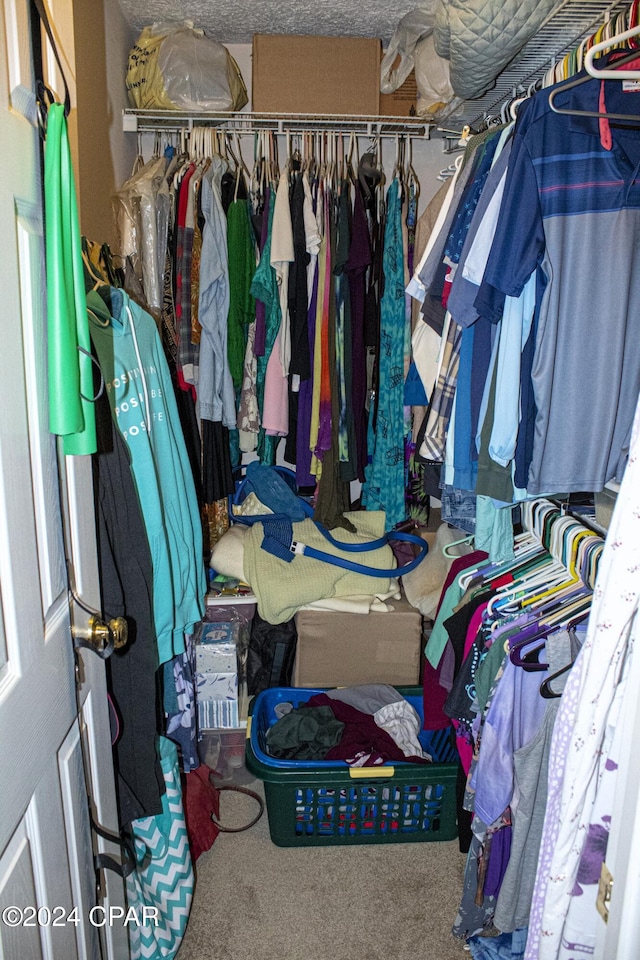 walk in closet featuring carpet floors