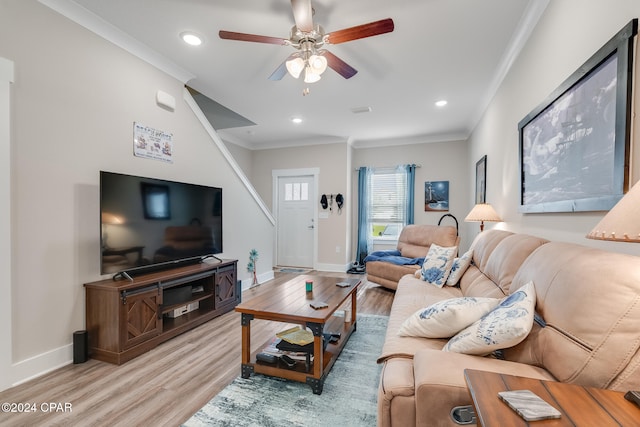 living room featuring ceiling fan, ornamental molding, and light wood-type flooring