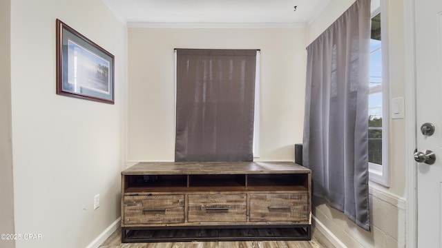 details featuring wood-type flooring and crown molding