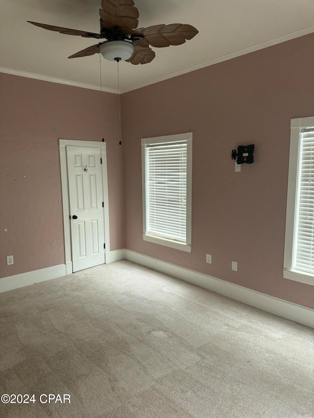 carpeted spare room featuring ceiling fan and crown molding