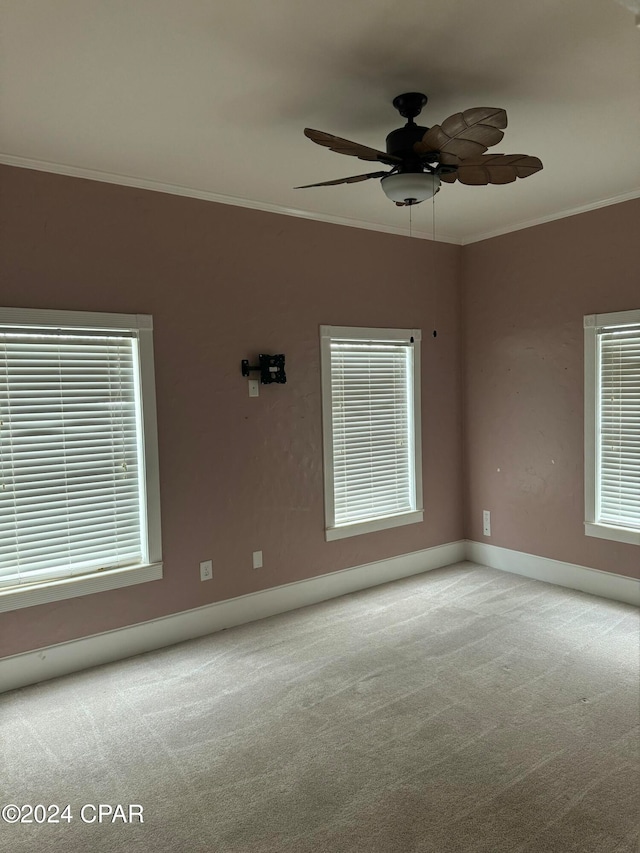 carpeted empty room with ceiling fan and ornamental molding