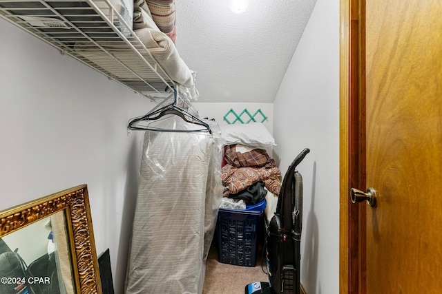 spacious closet with carpet floors