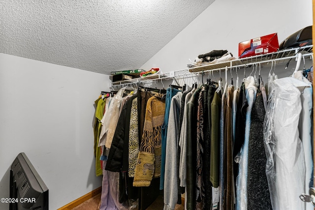 spacious closet with lofted ceiling