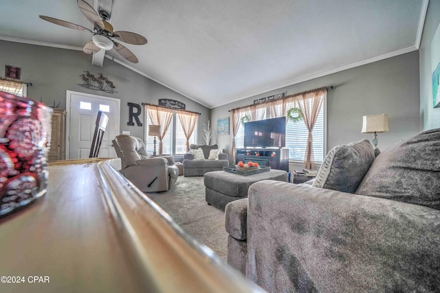 living room with ornamental molding, lofted ceiling, ceiling fan, and a healthy amount of sunlight