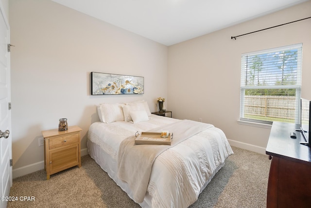 bedroom with carpet flooring