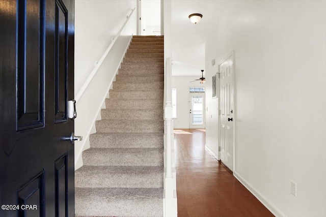 staircase featuring hardwood / wood-style flooring and ceiling fan