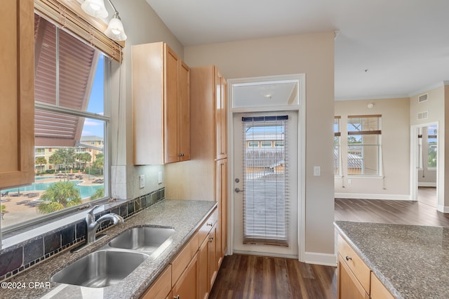 kitchen with dark hardwood / wood-style flooring, decorative backsplash, sink, and ornamental molding