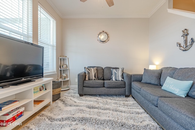 living room with hardwood / wood-style floors, ceiling fan, and ornamental molding