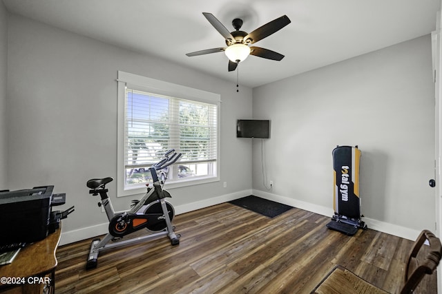 workout area with dark hardwood / wood-style flooring and ceiling fan