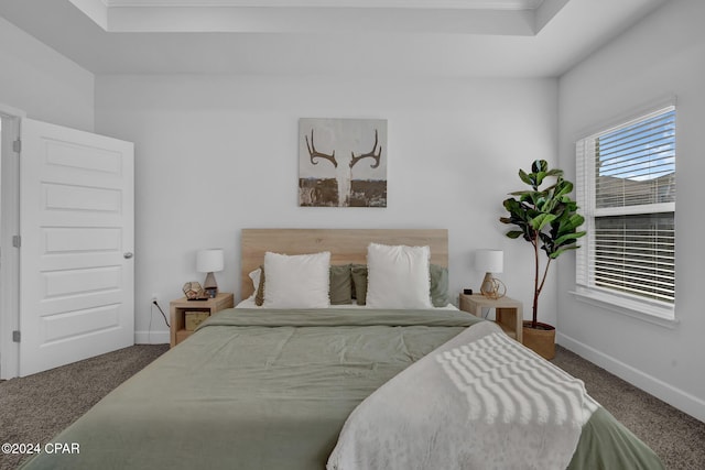 carpeted bedroom with a raised ceiling