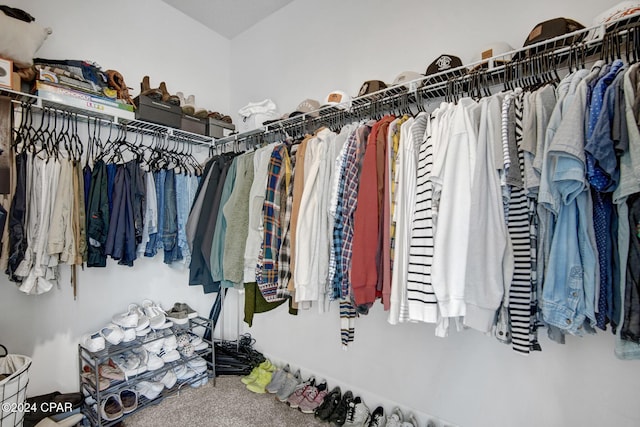 spacious closet with carpet floors