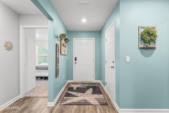 entryway featuring hardwood / wood-style flooring