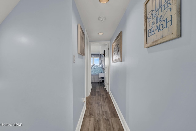 hallway with hardwood / wood-style floors