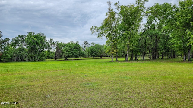 000 Weddington Rd, Sneads FL, 32460 land for sale