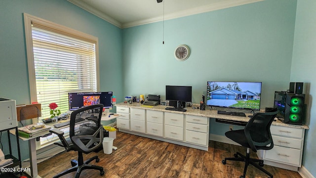 office featuring dark hardwood / wood-style flooring and ornamental molding