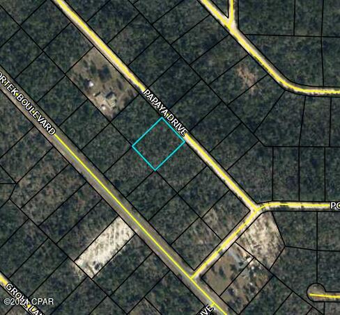 LOT12 Papaya Dr Unit 3, Marianna FL, 32448 land for sale