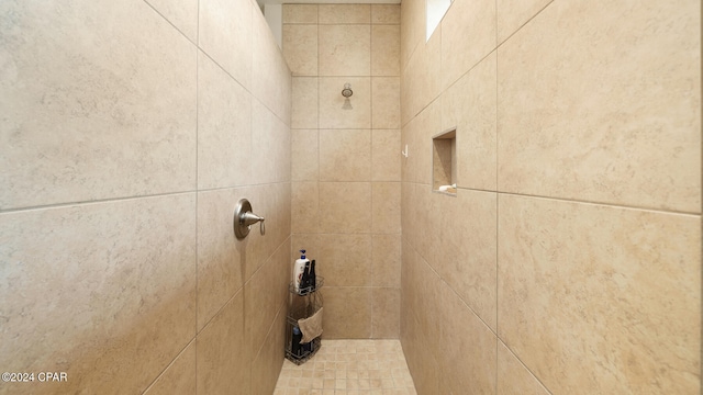 room details with tiled shower