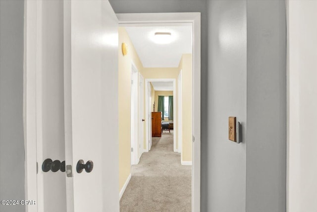 hallway with carpet and baseboards