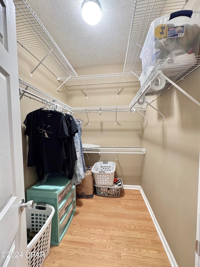 walk in closet with wood-type flooring