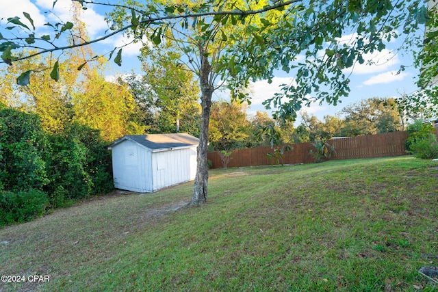 view of yard with a storage shed