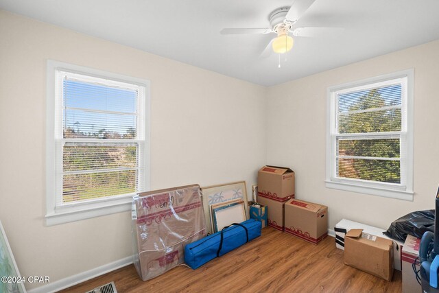 storage area with ceiling fan