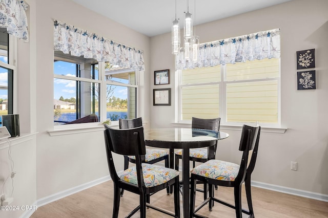 dining room with light hardwood / wood-style flooring