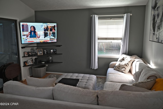 living room featuring a textured ceiling and lofted ceiling