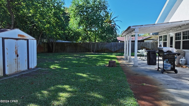 view of yard featuring a patio and a storage shed