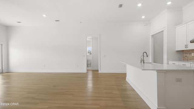 interior space with light hardwood / wood-style flooring, ornamental molding, and sink